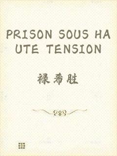 PRISON SOUS HAUTE TENSION